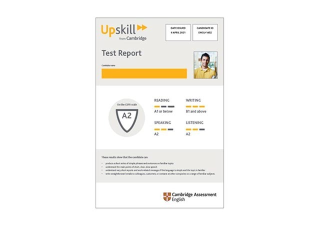 Sample Upskill report1